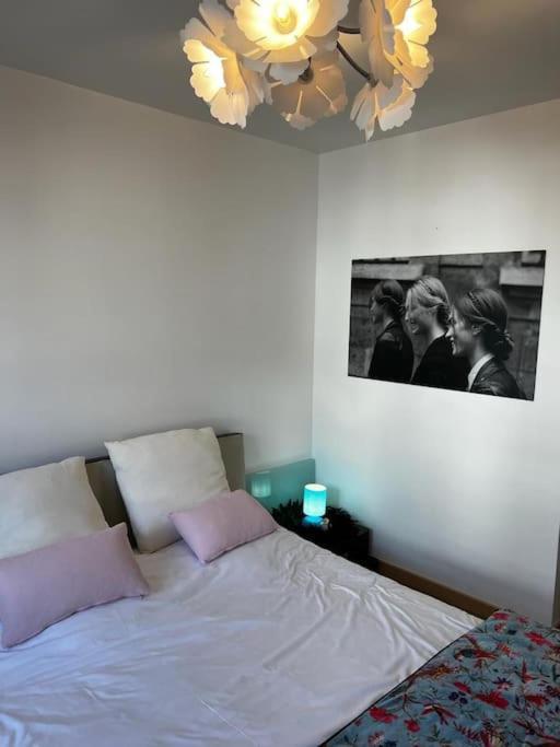 Les Pyou-Pyous Appartement Nancy Buitenkant foto